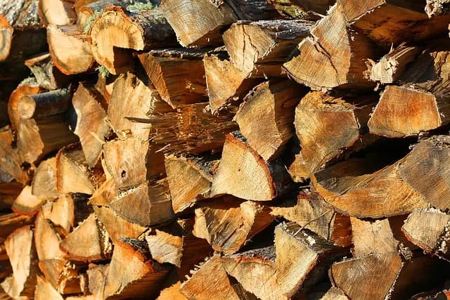 Descubre la Mejor Leña en Madrid para Tus Barbacoas