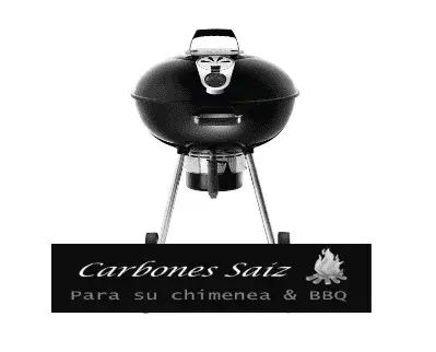 Parrilla Barbacoa Napoleon 22"