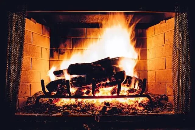 Parrilla para chimenea de leña